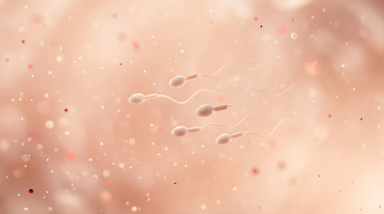 A few sperm cells swimming across a soft peach background depicting low sperm count