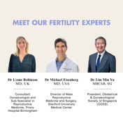 3 More Cycles + FREE Get Pregnant Course (Save 49%)