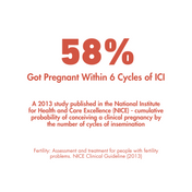 3 More Cycles + FREE Get Pregnant Course (Save 49%)