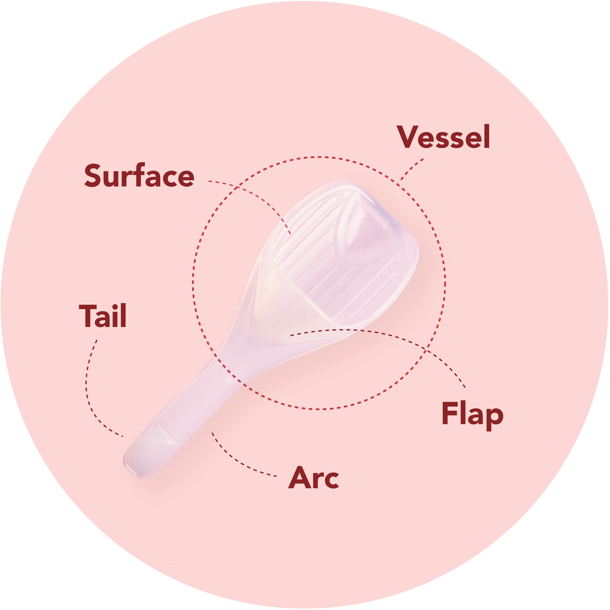 anatomy-of-Sperm-Guide-at-home-conception-kit-with-specific-feature-callouts_1.png