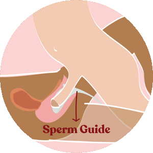 cross-section of penis sliding over Sperm Guide during usage during sexual intercourse